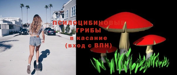 спайс Алзамай