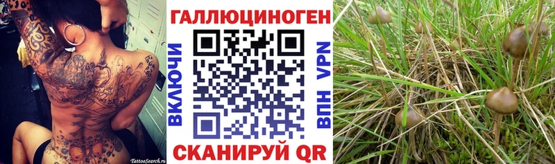 гидра как войти продажа наркотиков Шахты Галлюциногенные грибы Magic Shrooms